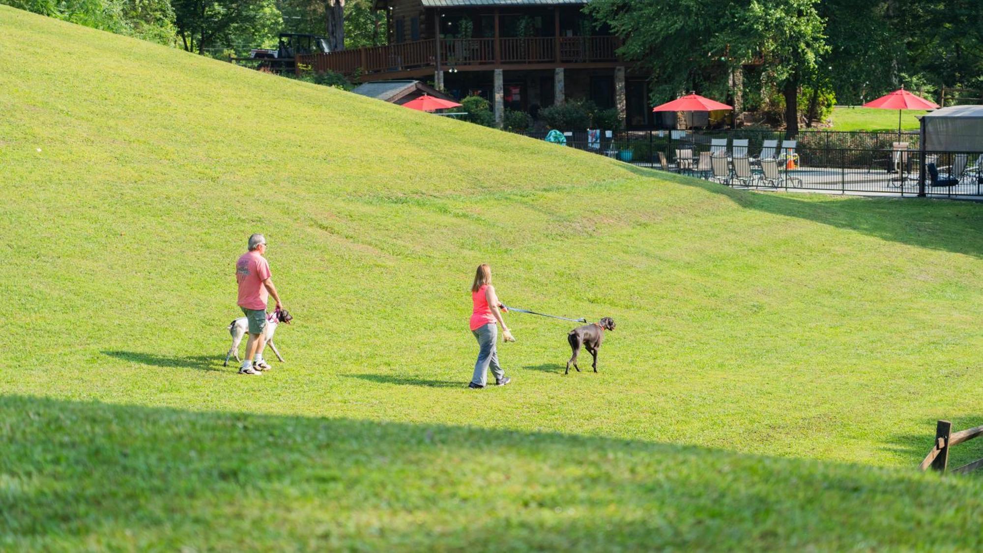 Yoli Bear Hideaway Villa Sevierville Luaran gambar