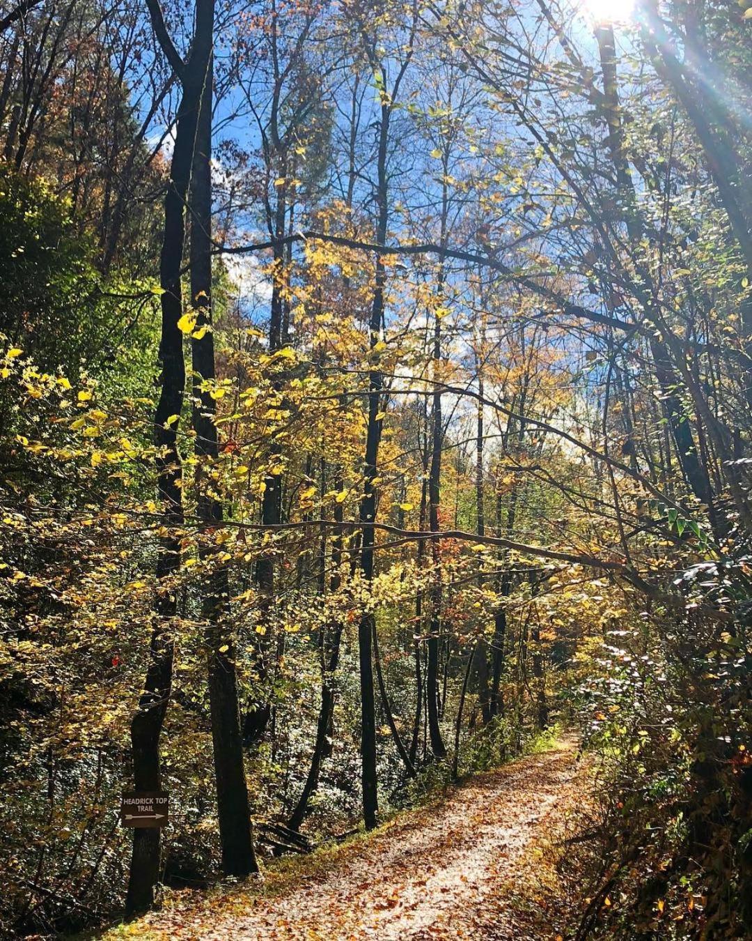 Yoli Bear Hideaway Villa Sevierville Luaran gambar